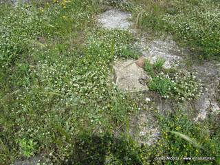 rme santa Venera27-04-2014 18-11-55